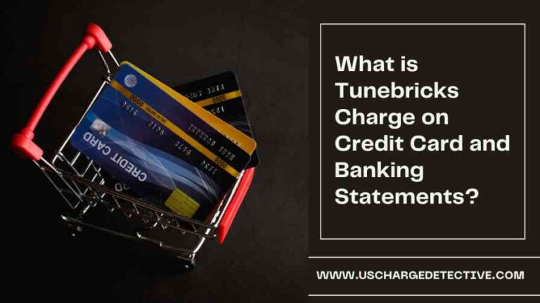 What is tunebricks charge on credit card and banking statements?