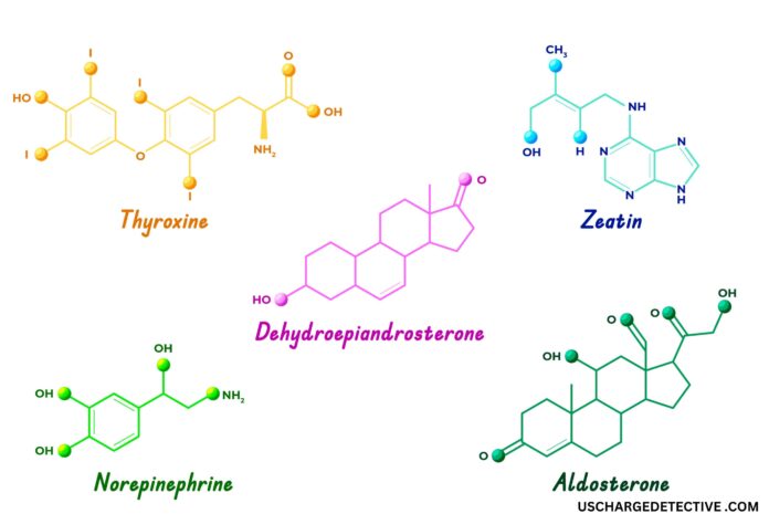 doctorhub360.com amino acids